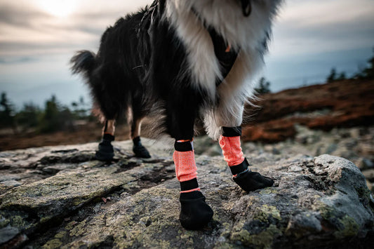 Protector Booties High