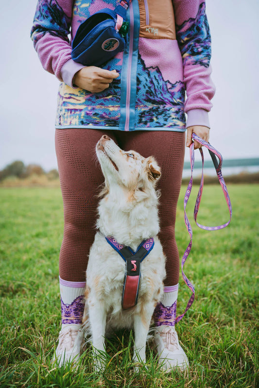 Trail quest leash Rachel Pohl edition