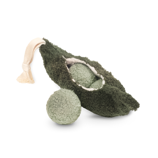Erbse