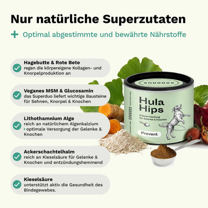 Hula Hips- Prevent - Pulver