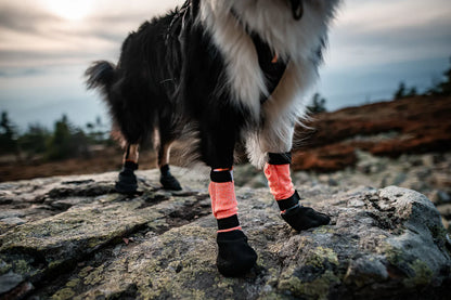 Protector Booties High