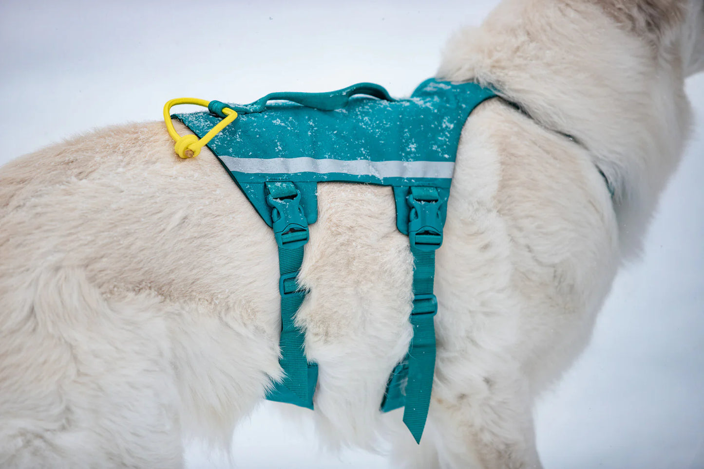 Ramble harness long